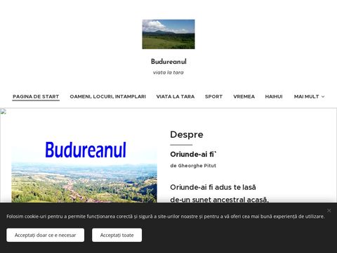 budureanul.net